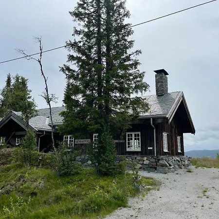 Holiday home Grindastugu Right By Liatoppen Centre. *
